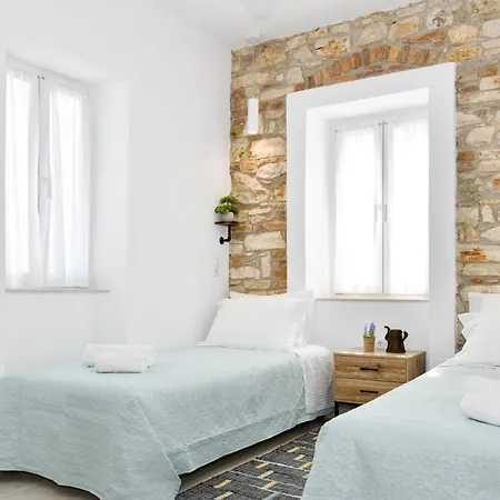 Captain Theo's Modern Martina