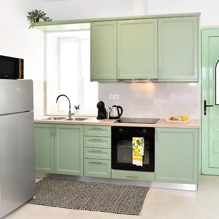 Captain Theo's Modern Martina *