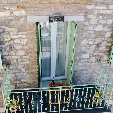 Captain Theo's Modern Martina